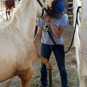 Meet your Posher, Brayden